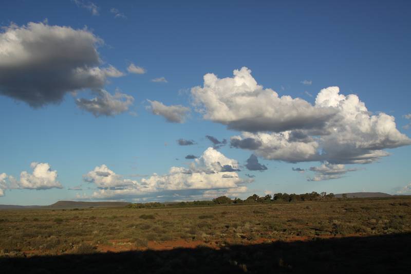 Paysage vu du train Rovos Pretoria-Cape Town, 2010, Ph. Moctar KANE.