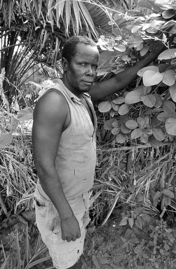 Cultivateur hartani, dans les Jardins du quartier 5ième arrondissement, Nouakchott, 1993, Ph. Moctar KANE.
